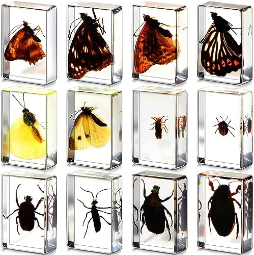 12 Pcs Insect Specimens for Kids Bug Collection Kit, Glowworm by Macarrie