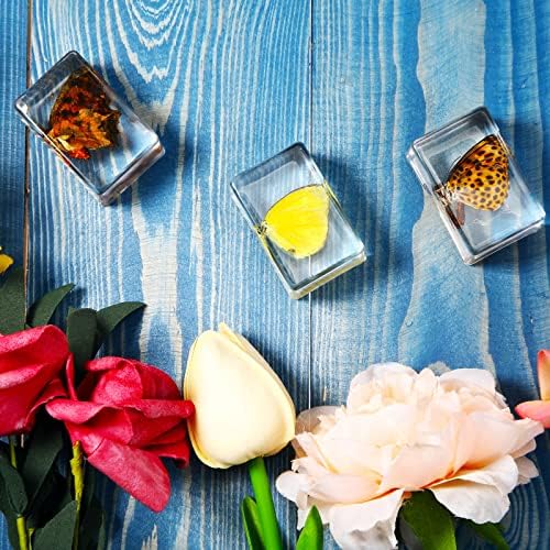 12 Pcs Insect Specimens for Kids Bug Collection Kit, Butterfly - Image 4