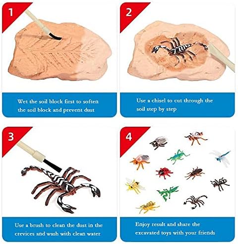 TRADE Big Bug Fossil Dig Kit - STEM Science & Educational Toys -Dig Up 12 Real Bugs Fly Ant Scorpion Lady Beetle Locust Cockroach Bumble Bee Cicada Dragonfly Cricket Praying Mantis Multicolored - Image 4