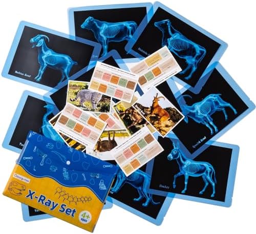 10 Pcs Farm Animal Xrays - Light Table Accessories by Odoorgames