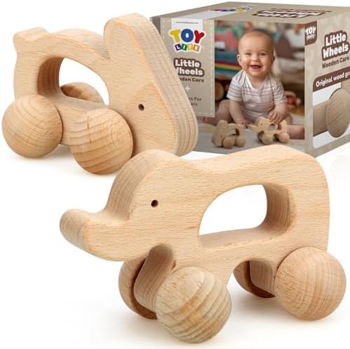 TOY Life Wooden Toys Cars, Montessori Baby Toys 6-12 Months, Wooden Baby Toys Rattle Cars for Toddlers 1-3, Baby Boy Nursery Decor, Montessori Toys for 1 Year Old Boy (Animal Set) by TOYLife