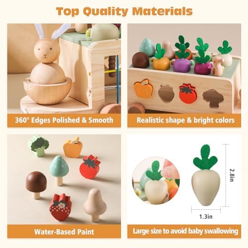 OESSUF Montessori Toys Toddlers Wooden Educational Toys for Baby Boys Girls, Shape Sorting & Matching Fine Motor Skills Toys, Birthday Gifts for Kids - Image 2