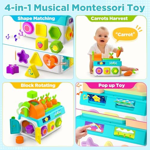 Learning Toys for 1,2 Year Old Girl Boy Gifts, Montessori Shape Sorting Toys for Toddler 1-3 Age, Musical Educational Baby Toy 12-18 Month, Christmas Birthday Gift for 1-2 Year Old Girl Boy - Image 2