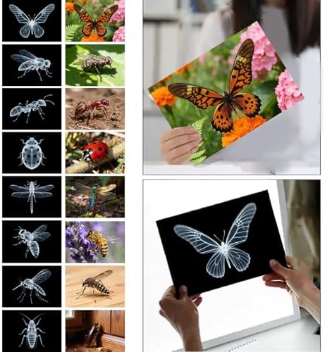 16 Animal X-Ray Set, Educational Science Kit for Kids to Explore Bone Structures for Lightstand Accessories, Light and Shadow Areas (Insect Series) - Image 2