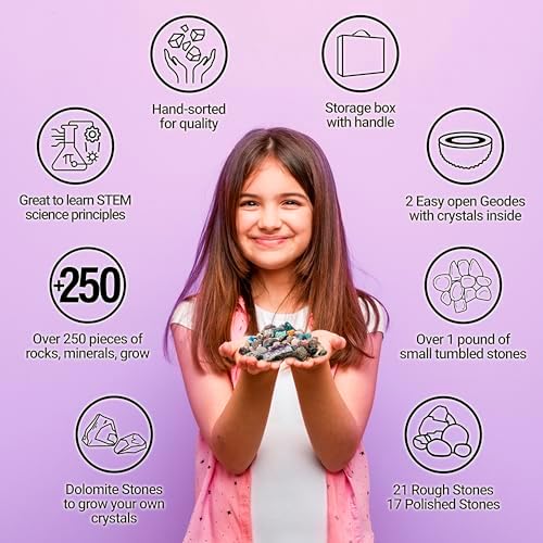 DANCING BEAR Rock, Mineral & Geodes Treasure Hunt Activity Kit (250 Pc Set) Real Shark Teeth Fossils, ID Sheet & Rock Book, STEM - Image 6