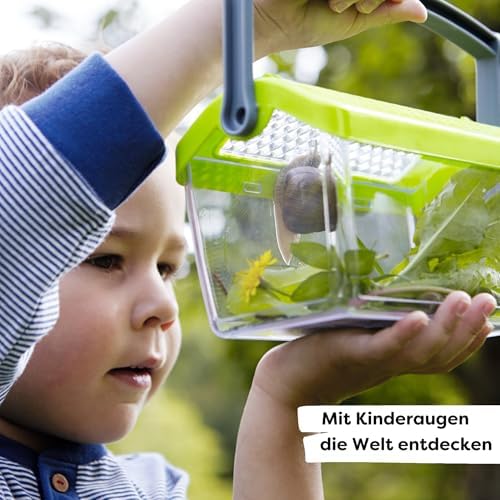 HABA 301513 Insect Box Toy - Image 2