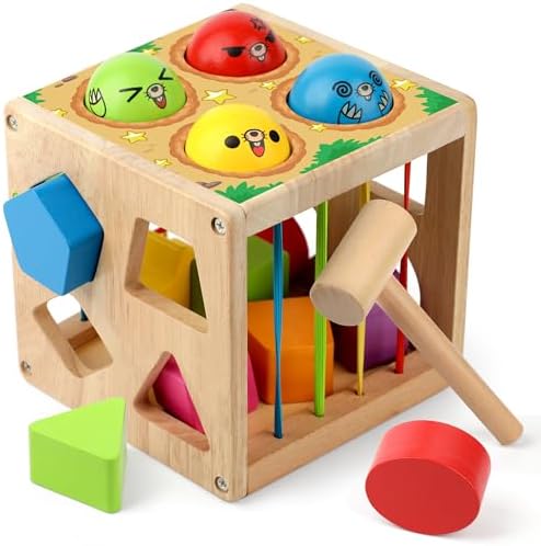 Coogam Wooden Montessori Toys for Toddlers, Shape Sorting Cube Fine Motor Skills Game for Year Old 18 Month+ Baby Boys Girls Gift by Coogam