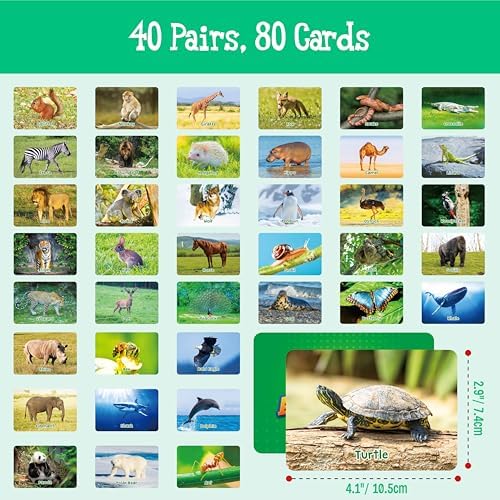 Hebayy Wild Animal Matching Game, 80 PCS Realistic Animal Memory Matching Cards for Toddlers 40 Pairs Real Animal Memory Cards Educational Toys for Preschool Boys & Girls 4 5 6 Years Old - Image 3