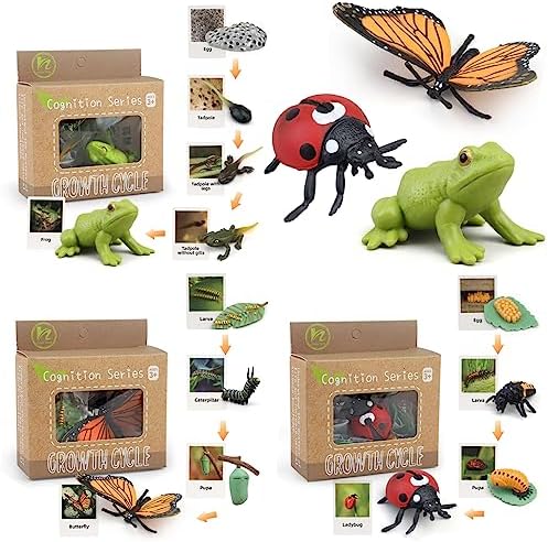 Montessori Life Cycle Learning & Education Toys - Plastic Insect Ladybug, Monarch Butterfly, and Tadpole-to-Frog Kit for Kids, Learning Activities for Early Education by BOTICAKO
