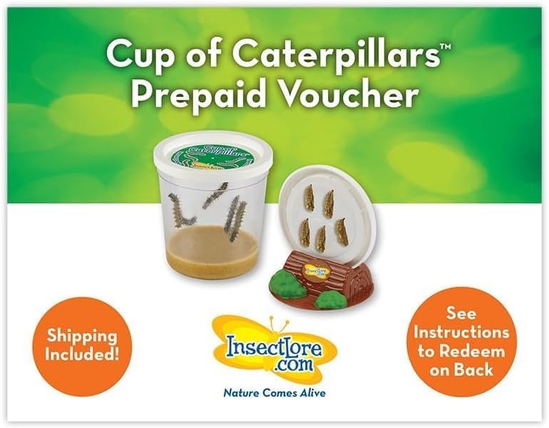 Insect Lore Butterfly Garden with All-Inclusive Voucher to Redeem Caterpillars, Ultra-Clear Dome Habitat - Butterfly Raising Kit, Raise 5 Painted Lady Butterflies from USA - Image 5