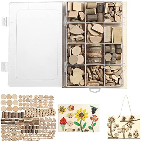 LAZACA Wood Craft Kits DIY, Wooden Loose Parts 250 Pcs, 19.5X13X3.5cm by LAZACA