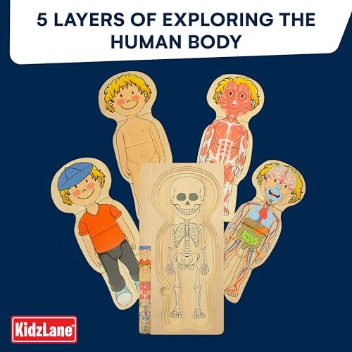 Kidzlane Boy Wooden My Body Puzzle for Toddlers & Kids - 29 Piece Boys Anatomy Puzzle Kid Play Set - Anatomy for Kids, Skeleton Toys for Children Ages 3 Plus - Image 4