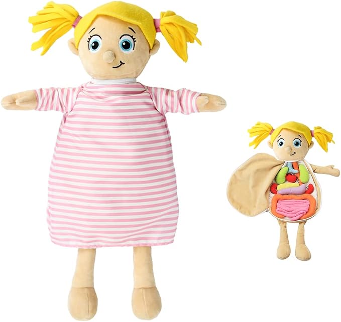KAKIBLIN Human Body Model for Kids, Plush Anatomy Doll by KAKIBLIN