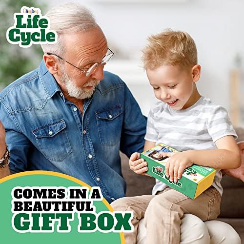 Life Cycle Animal Kit - Montessori Science Toy with 24-Piece Matching Game, Butterfly, Frog, Chicken, Bee, Ladybug and Turtle STEM Educational Gift, Easter Basket fillers for Kids Ages 3-8 - Image 6