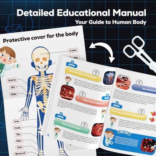 GobiDex Human Body Skeleton Model Kit, Glow in The Dark Science Kit for Kid - Image 4