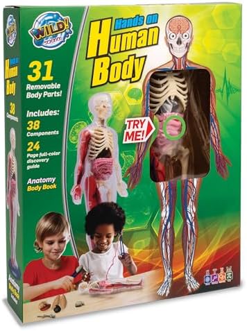 Human Body Anatomy Model Kit – 31-Piece Interactive STEM Set with 9 Squishy Organs, Bones, Muscles & Blood Vessels, Forceps & Discovery Guide – Educational Science Tool for Kids 6+ by WILDScience