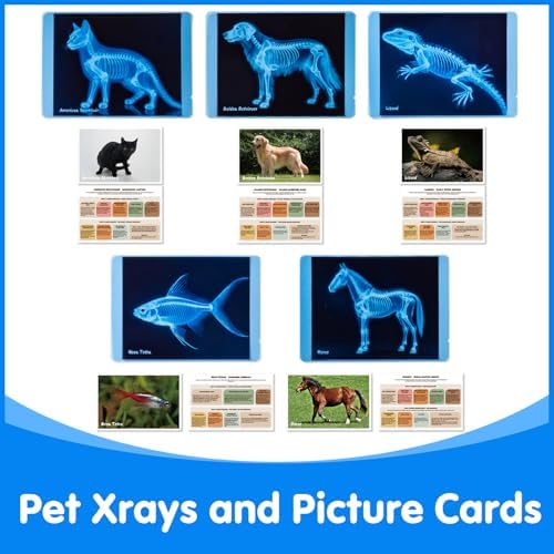 Pet Series Animal Xrays for Kids - Light Table Manipulatives - Image 5