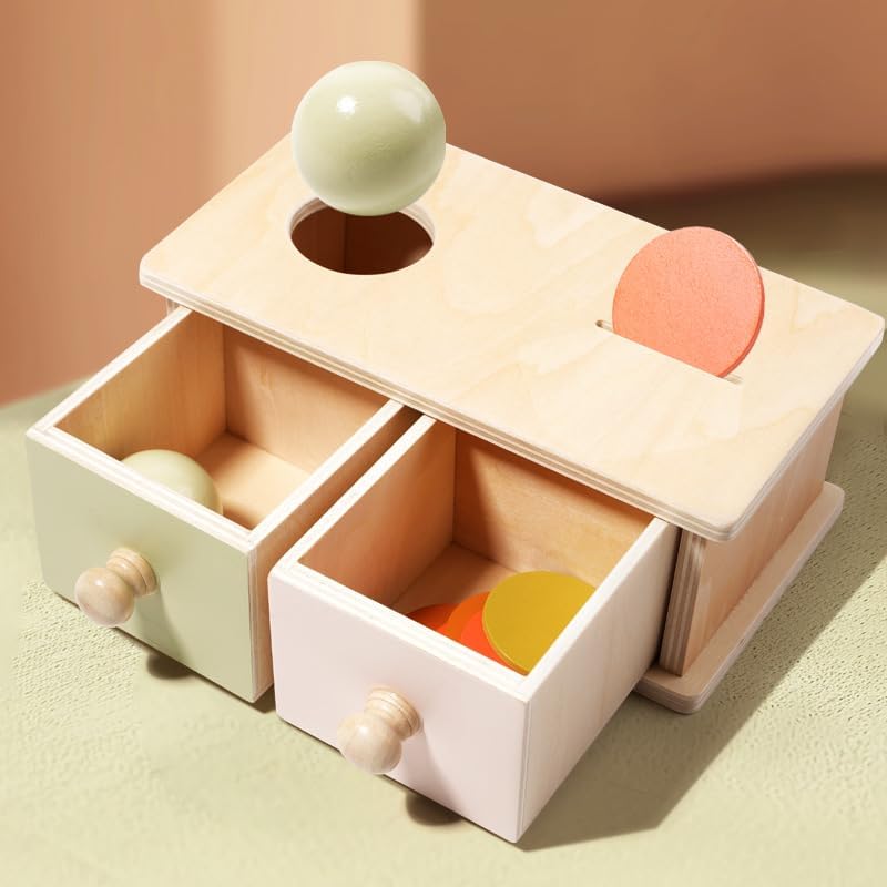 Coin & Ball Drop Box – Wooden Push/Pull Posting Toy for Toddlers, Object Permanence, Sorting, Pincer Grasp, Fine Motor Skills, Practical Life Toy for Kids Ages 3–6 - Image 3