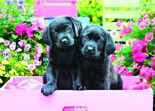 EuroGraphics Black Labs in Pink Box 500 Piece Puzzle - Image 2