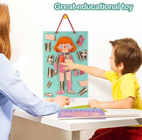 Human Body Puzzle for Kids Toddlers 90PCS Magnetic Boy Girl Anatomy Play Set Body Parts Organs Muscles Skeleton and Bones Wooden Puzzle Toys Aged 3+ Educational Learning Preschool Toys - Image 3