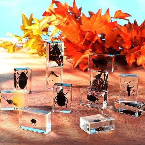 12 Pcs Insect Specimens for Kids Bug Collection Kit, Glowworm - Image 5