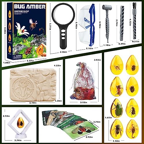 Woumserta Amber Dig Kits, Bugs Toys for Kids 5-7, 8 Insects Specimens Gifts - Image 5