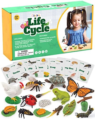 Life Cycle Animal Kit - Montessori Science Toy with 24-Piece Matching Game, Butterfly, Frog, Chicken, Bee, Ladybug and Turtle STEM Educational Gift, Easter Basket fillers for Kids Ages 3-8 by GLINGLOG