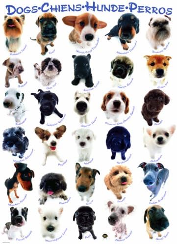 Dog Breeds Puzzle, 500-Piece - Image 2