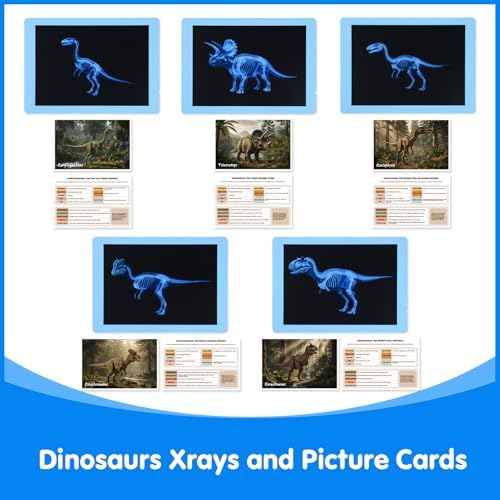 15 Pcs Dinosaur Xrays & Creatures Cards - Light Table Toys - Image 6