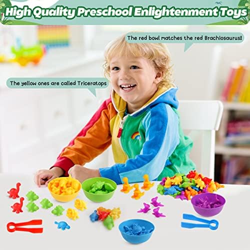 Counting Dinosaur Montessori Toys for Kids 3-5, Color Sorting Sensory Toys - Image 6