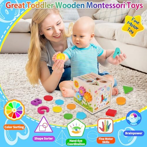 FCSONU Montessori Shape Sorters & Fine Motor Skills Toys for Toddlers 1-3 - Image 3
