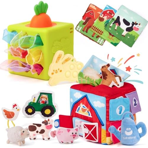 hahaland Baby Toys 6-12 Months - 13 PCS Whats Inside Box Surprise Developmental Toy and Silicone Baby Tissue Box Toy, Montessori Toys for 6 Month Old Gifts by hahaland
