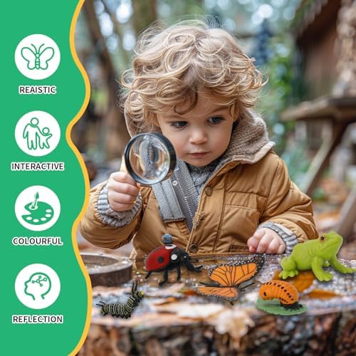 ​Montessori Life Cycle Learning - Montessori Life Cycle Animal Figures with Flash Cards, Realistic Plant Figurines Toy, Animal Educational Matching Game for Kids (Plant) - Image 5