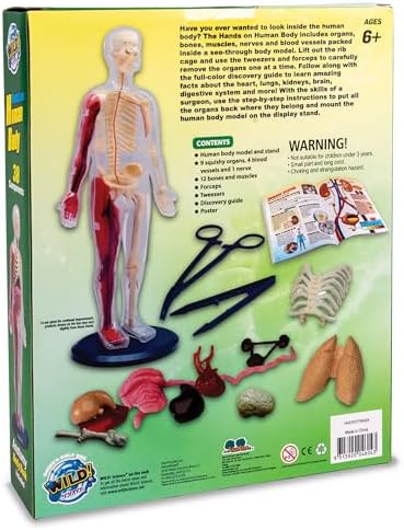 Human Body Anatomy Model Kit – 31-Piece Interactive STEM Set with 9 Squishy Organs, Bones, Muscles & Blood Vessels, Forceps & Discovery Guide – Educational Science Tool for Kids 6+ - Image 2