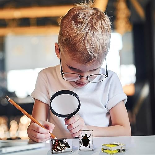 12 Pcs Insect Specimens for Kids Bug Collection Kit, Glowworm - Image 6