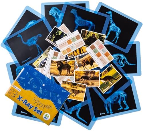 15 Pcs Zoo Animal Xrays for Kids - Light Table Manipulatives by Odoorgames