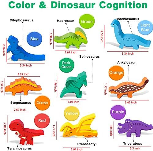 FFTROC Montessori Dinosaur Toys for 3 4 5 Year Old Boys Wooden Stacking - Image 4