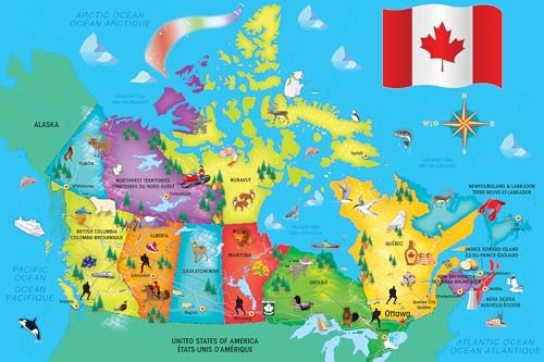 MasterPieces Educational - Canada Map 36 Piece Floor Puzzle - Jigsaw Puzzle with Vibrant Artwork and Durable Pieces - Fun Family Activity Brain Challenge and Educational Entertainment - Image 4
