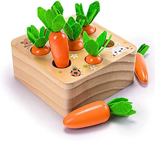 Ancaixin Montessori Toys for Babies 6-12 Months, Wooden Toys for 1 Year Old by Ancaixin
