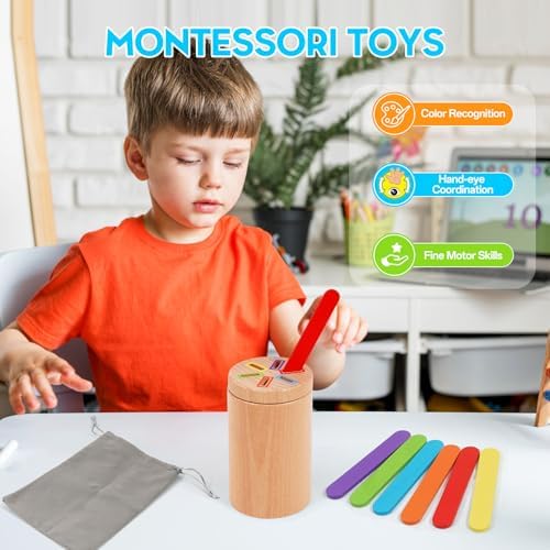Montessori Toys for Toddler, Fine Motor Skills Toys Wooden Color Sorting Stacking Toy for Boys Girls Educational Gift for Kids Birthday - Image 5