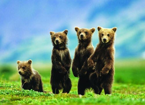 Bear Cubs Standing Puzzle, 300-Piece - Image 3