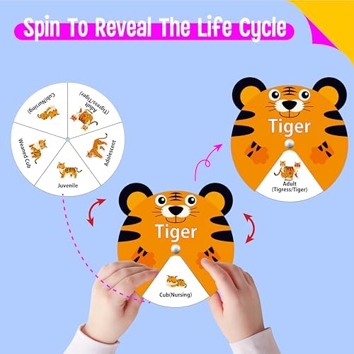 30 PCS Life Cycle Spinners, 20 Animals & 10 Plants Montessori Learning Toy for Kids, Educational Spinning Game Nature & Science Learning Activities for Toddlers - Image 4