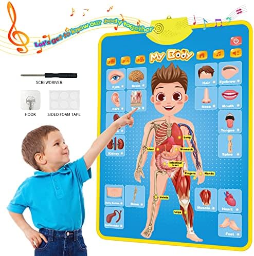 My Body Interactive Educational Poster for Toddlers and Kids to Learn Body Parts, Organs, Muscles and Bones, 16'' x 22'' by Unknown