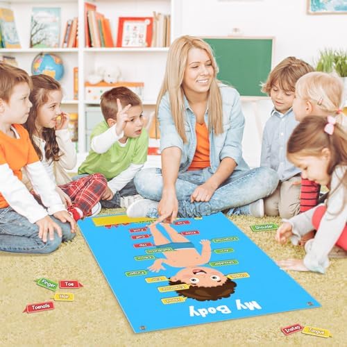 AKAYOK 36 Pcs Body Parts for Kids Felt Board for Toddlers Preschool Learning Activities Interactive Human Body for Kids Human Organ Educational Toys for 2 Year Old Felt Wall Activities for Toddlers - Image 5