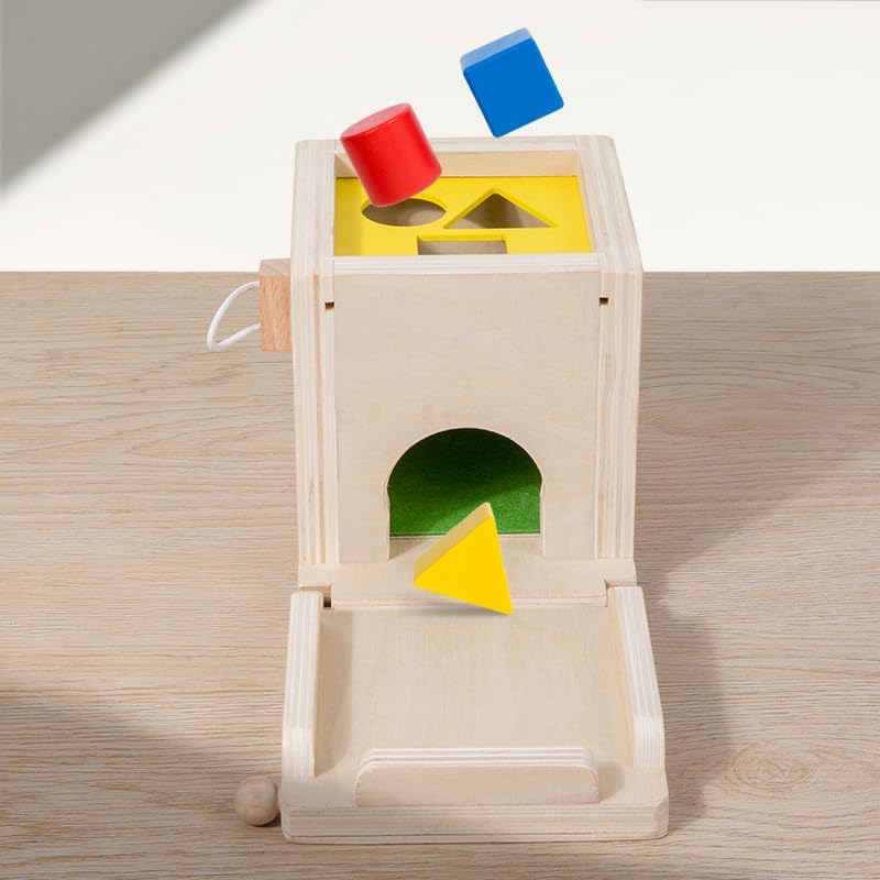 Practical Life Skill Pincer Grasp 5-in-1 Toy Object Permanence STEM Educational Toy Posting Coin Piggy Bank Carrot Harvest Push- Matching/Geometric Solid Box Toddler Gift 3-6 Years - Image 4