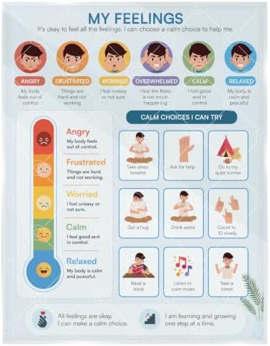 Feelings Chart for Kids – Step-by-Step Laminated Visual Chart for Emotional Regulation, Social Emotional Learning (SEL), Autism, ADHD, Home & Classroom, 9 x 12 Inch by Buildingconfidencethroughdailyroutines
