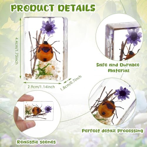 Macarrie 12 Pcs Insect Specimens for Kids Bug Collection Kit, Scenery - Image 3