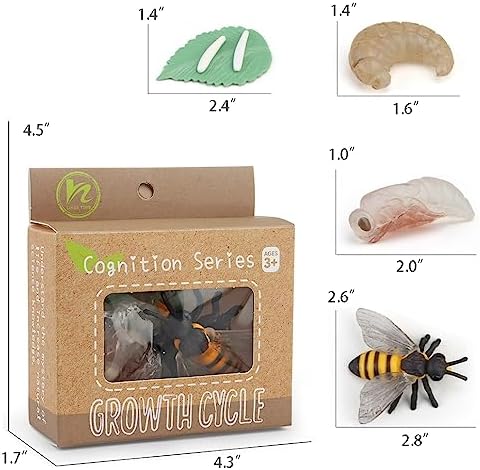 Montessori Life Cycle Animal Figures with Flash Cards, Realistic Animal Figurines Toy, and Educational Matching Game for Kids (Plant, Bee, and Snail) - Image 5