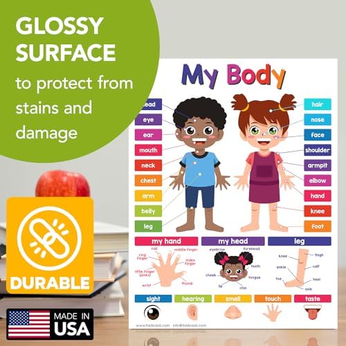 FoldCard My Body Chart Educational Poster 8.5x11 5pk - Image 3