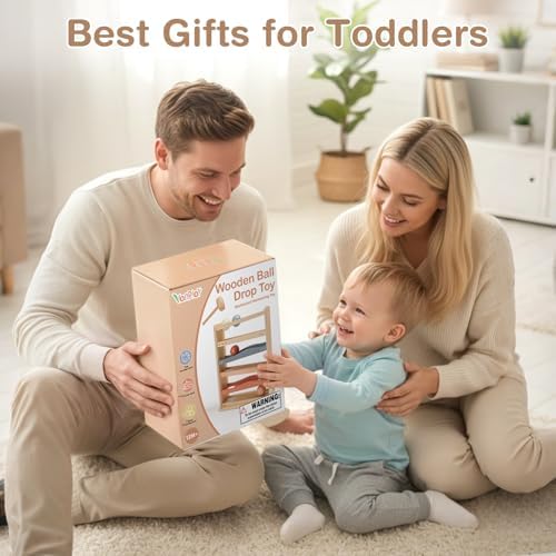 Vanplay Montessori Ball Drop Toys for 1 2 Year Old Boy Girls Birthday Gifts - Image 6